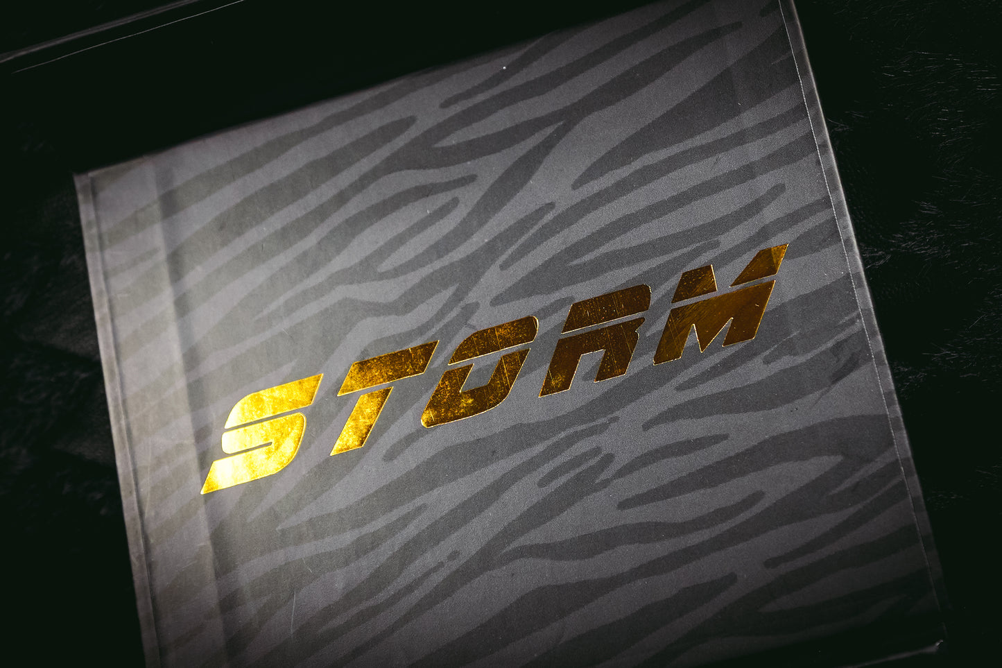 STORM JAGUAR Speed Bearings
